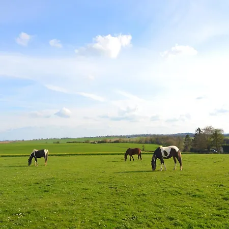 Sunny Cottage With Pool * Purnode